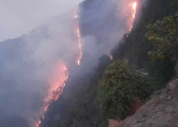 ब्रेकिङः बाहुनीडाँडा भीषण आगलागी, स्थिति नियन्त्रण बहिर (फाेटाे फिचर सहित)