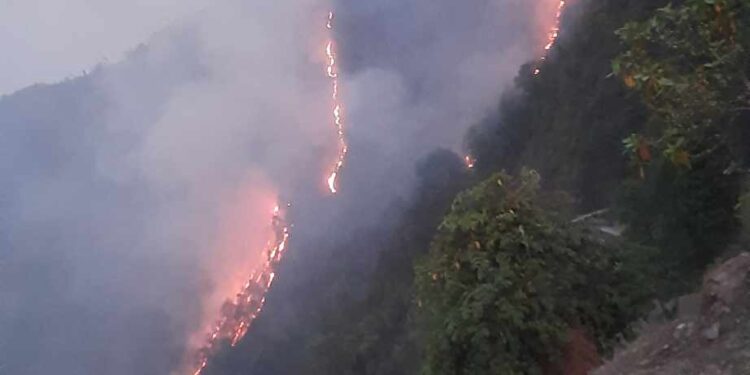 ब्रेकिङः बाहुनीडाँडा भीषण आगलागी, स्थिति नियन्त्रण बहिर (फाेटाे फिचर सहित)