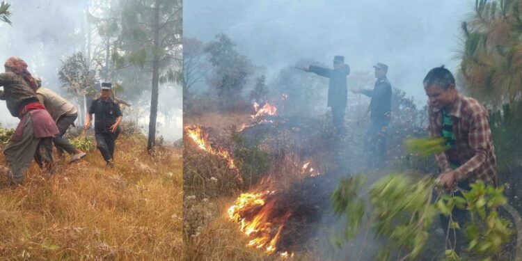 आगलागीबाट सोलुको ३ सय रोपनी जङ्गल खरानी