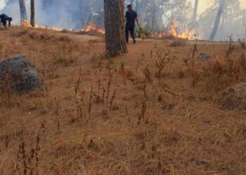 थुलुङ दूधकोशी गाउँपालिकामा आगलागीबाट २० रोपनी जङ्गल जलेर नष्ट