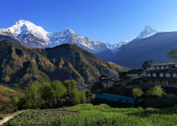 निकुञ्जमा संकलन हुने राजस्वमा ९६ प्रतिशत बढी पर्यटनको योगदान