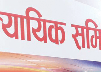 ऐसेलुखर्क न्यायिक समितिमा परेका मध्ये ५८ प्रतिशत उजुरीमा मिलापत्र 