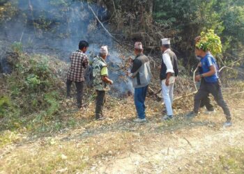 वनमा आगलागी भएपछि दाउरा संकलन स्थगित