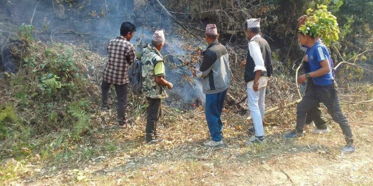 वनमा आगलागी भएपछि दाउरा संकलन स्थगित