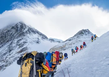 यो सिजनमा आरोहण अनुमति लिएका सय बढी सगरमाथाकाे चुचुराेमा