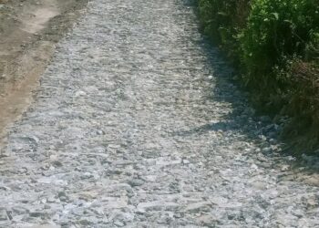 प्रधानमन्त्री रोजगार कार्यक्रम : सोलुदुधकुण्डमा ८० जना श्रमिकलाई रोजगारी