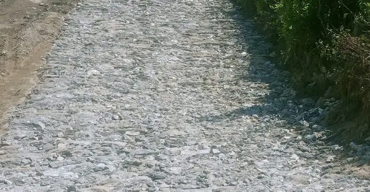 प्रधानमन्त्री रोजगार कार्यक्रम : सोलुदुधकुण्डमा ८० जना श्रमिकलाई रोजगारी