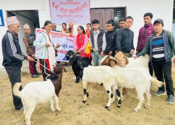 खोटेहाङका लघु उद्यमीलाई मेड्पाले दियो बोयर बोका