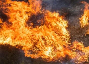 सोलुखुम्बुकाे दाल्दुु क्षेत्रमा लागेको डढेलो नियन्त्रणमा