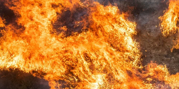 सोलुखुम्बुकाे दाल्दुु क्षेत्रमा लागेको डढेलो नियन्त्रणमा