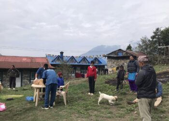 खुम्बुमा सामुदायिक तथा घरपालुवा कुकुरको व्यवस्थापन