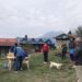 खुम्बुमा सामुदायिक तथा घरपालुवा कुकुरको व्यवस्थापन
