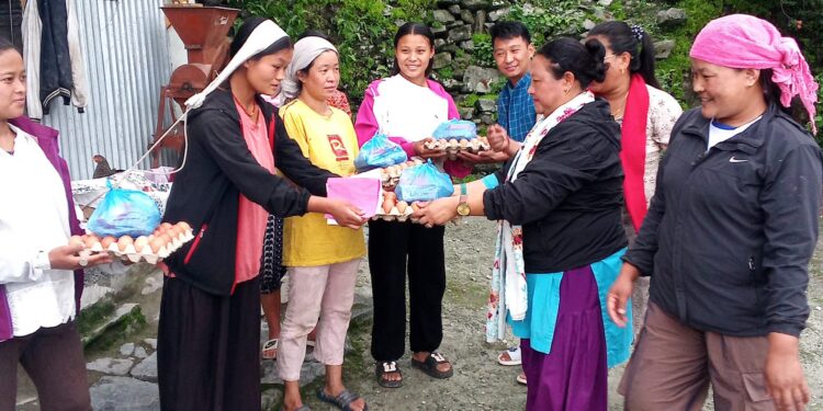सोताङमा सुत्केरी कोसेली कार्यक्रम मार्फत ९० जना महिला लाभान्वित