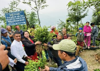 निः शुल्क विरुवा वितरण गर्दा थुलुङ दुधकोशीका किसान लाभान्वित