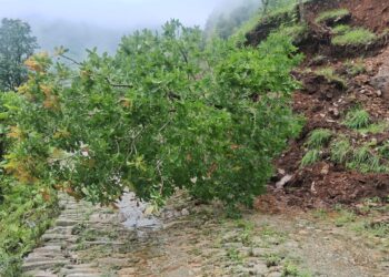 नेचासल्यान जाने बाटो पहिरोले अबरुद्व