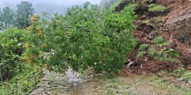 नेचासल्यान जाने बाटो पहिरोले अबरुद्व