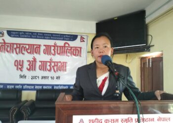 नेचासल्यानकाे बजेट ४७ कराेड, भाैतिक पुर्वाधार प्राथमिकतामा