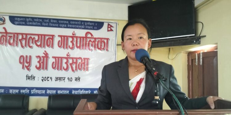 नेचासल्यानकाे बजेट ४७ कराेड, भाैतिक पुर्वाधार प्राथमिकतामा