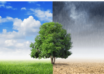 यस्ताे छ आजको मौसम