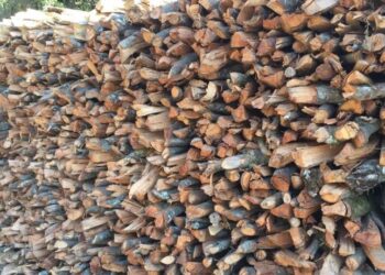 सोलुखुम्बुमा अझैपनि २२ हजारले गर्छन खाना पकाउनमा दाउराको प्रयोग