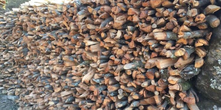 सोलुखुम्बुमा अझैपनि २२ हजारले गर्छन खाना पकाउनमा दाउराको प्रयोग