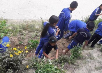 काकु माविले रोप्यो विद्यालय क्षेत्रमा फलफुलका विरुवा