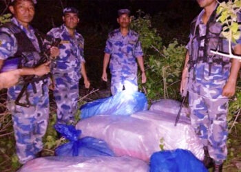 उदयपुरमा सशस्त्रले फेला पार्याे ३ क्विन्टल गाँजा