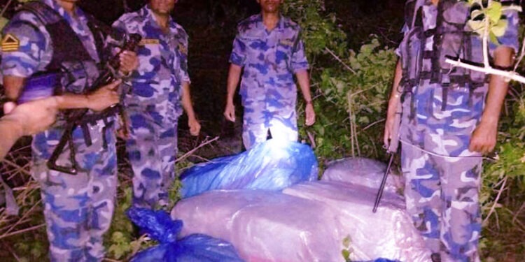 उदयपुरमा सशस्त्रले फेला पार्याे ३ क्विन्टल गाँजा