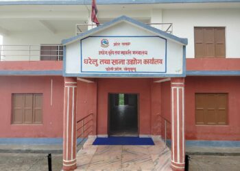 घरेलुले उठायो २८ लाख भन्दा बढी राजस्व