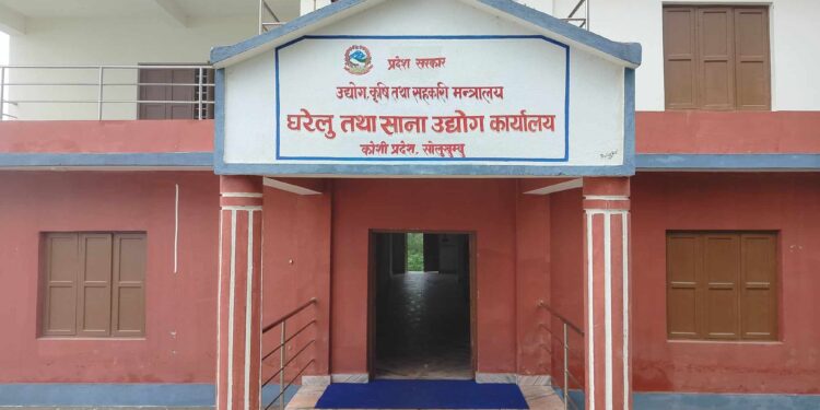 घरेलुले उठायो २८ लाख भन्दा बढी राजस्व