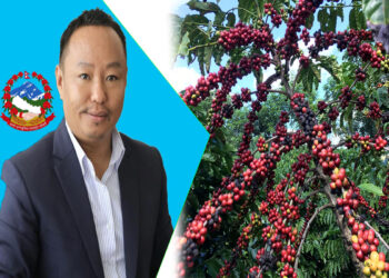  थुलुङ दुधकोशीः कफी प्रशोधनको तयारी अन्तिम चरणमा 