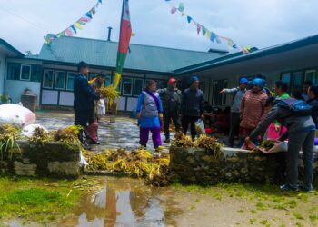 सोलुदुधुण्डका किसानलाई नेपियर घाँसका बिरुवा 