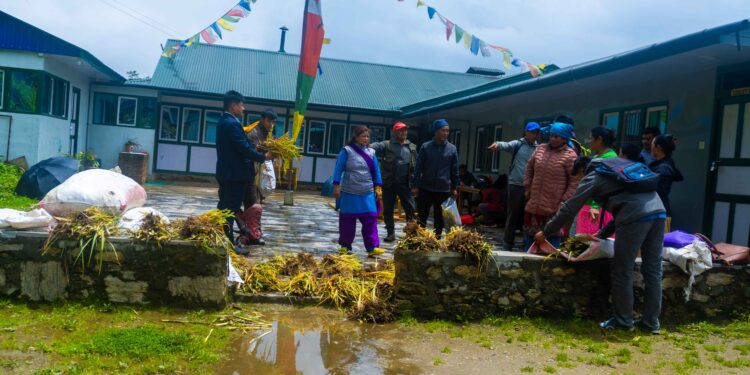 सोलुदुधुण्डका किसानलाई नेपियर घाँसका बिरुवा 
