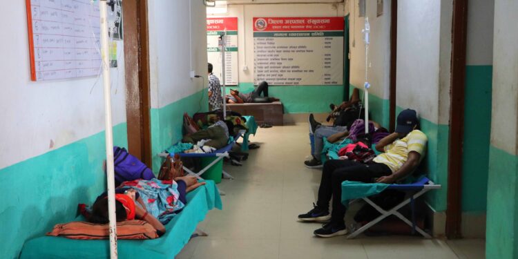 संखुवासभामा डेंगी र भाइरल ज्वरोका बिरामी ह्वात्तै बढे, शय्याको अपुग