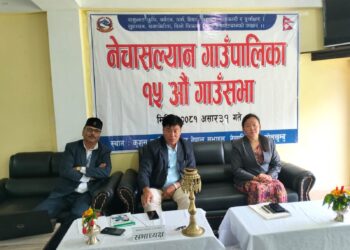 नेचासल्यान गाउँसभाले पास गर्यो, ४८ करोड २० लाख रुपैयाँको बजेट