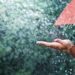 यी तिन प्रदेशमा आज ठूलो पानी पर्ने सम्भावना