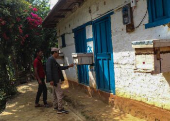 व्यावसायिक मौरीपालनमा जुटे भोजपुर बैकुण्ठेका स्थानीय