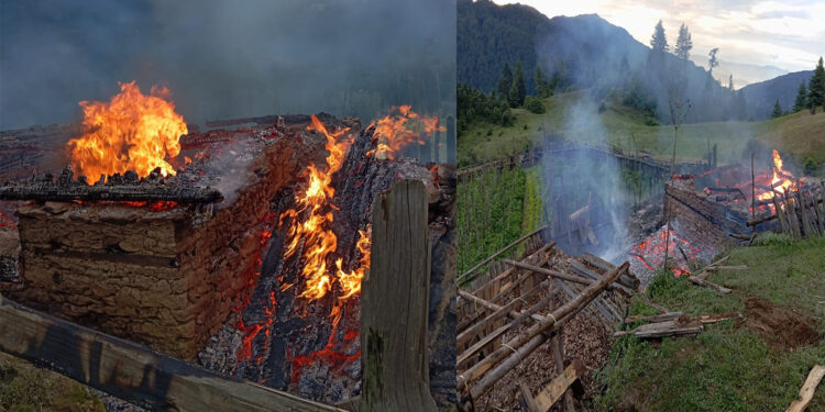 मध्ये बर्खामा आगलागी, तामाङका २२ वटा बाख्रा मरे