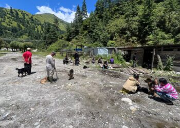 सोलुदुधकुण्ड नगरपालिकामा कुकुरको बन्ध्याकरण तथा रेबिज विरुद्धको खोप शिविर जारी