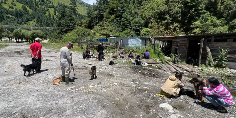 सोलुदुधकुण्ड नगरपालिकामा कुकुरको बन्ध्याकरण तथा रेबिज विरुद्धको खोप शिविर जारी