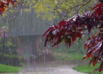 आज पाँच प्रदेशमा भारी वर्षाको सम्भावना