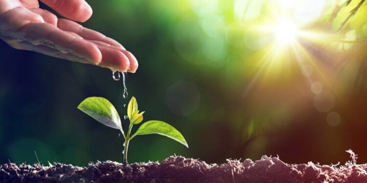 राष्ट्रिय भू–संरक्षण दिवस मनाइँदै