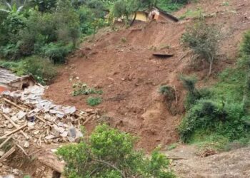 ओखलढुंगामा पहिरोले गोठ पुर्दा गाई र पाडाको मृत्यु