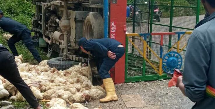  ब्रोइलर बोकेर सोलुखुम्बु आउँदै गरेको बोलेरो दुर्घटना, मानवीय क्षति भएन 