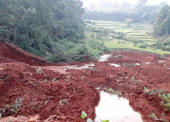 पहिरोले खोटाङमा बगायो दर्जनबढी कृषकको धानबाली सहितको खेत
