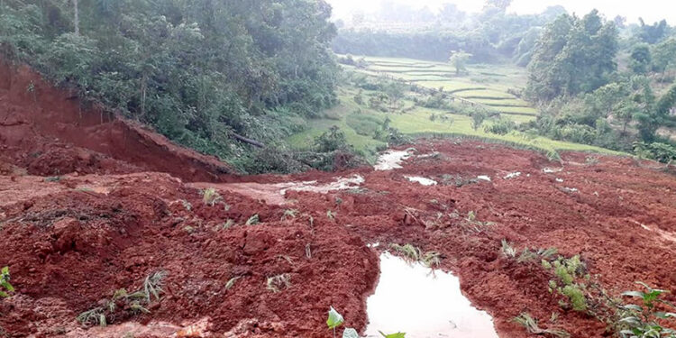पहिरोले खोटाङमा बगायो दर्जनबढी कृषकको धानबाली सहितको खेत