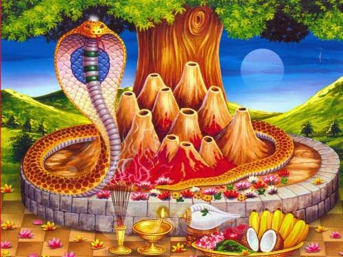 घर दैलोमा नाग टाँसेर मनाइयो नागपञ्चमी  