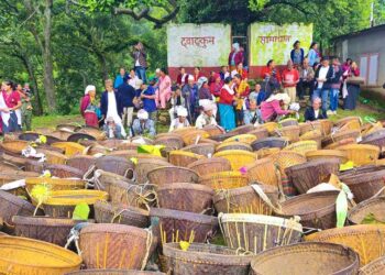 ओखलढुगांमा वाम्बुले राईले मनाए ढ्वाङकुम