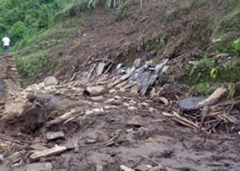 रुम्जाटारमा घर भत्किदा पशु चौपायमा क्षती