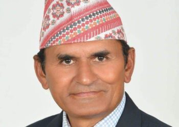 गुणराज निरौला पेशागत तथा बुद्धिजीवी विभागको सदस्यमा मनोनित 